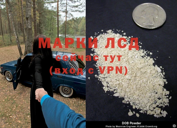 прущая мука Покачи