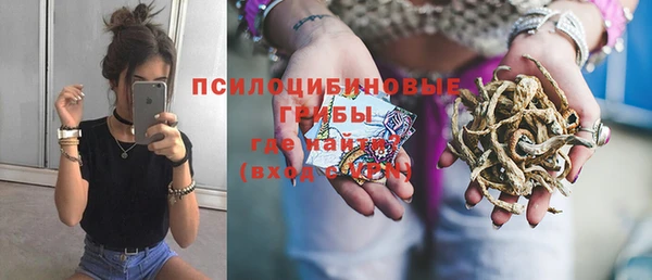 гидра Алзамай